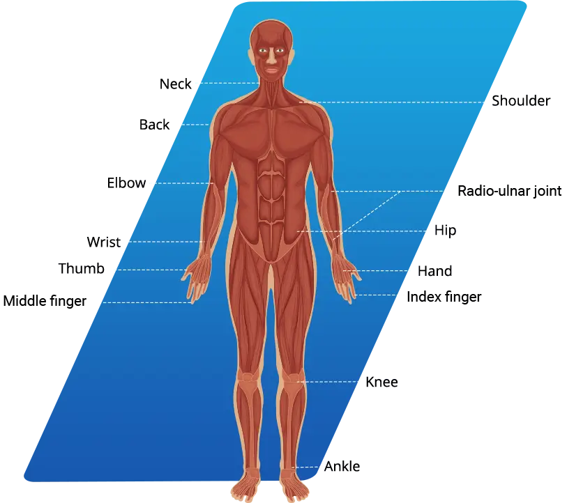 individual finger joints—something no other device
