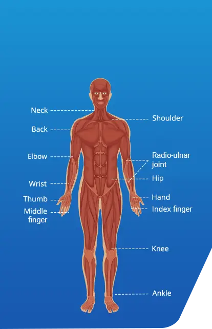DigiMuscle can test